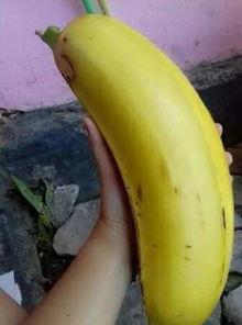 大香蕉国产情侣,甜蜜瞬间,浪漫演绎